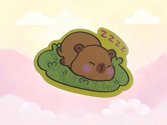 STICKERS CAPIBARA 🍒🌺